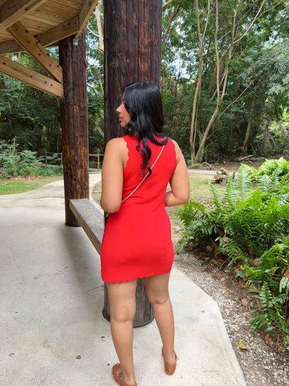 Heatwave short dress